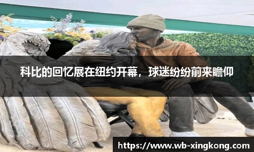 星空体育网站入口