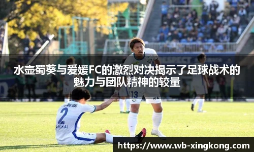 星空体育官网